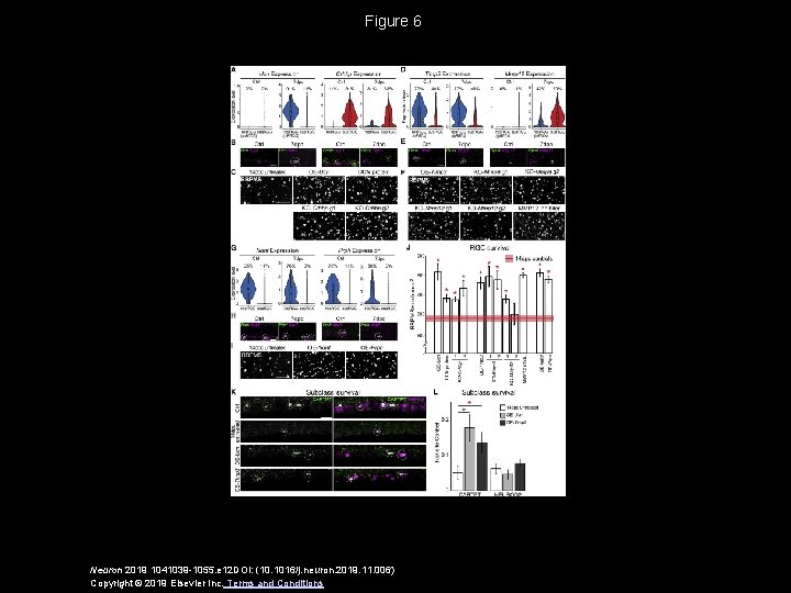 Figure 6 Neuron 2019 1041039 -1055. e 12 DOI: (10. 1016/j. neuron. 2019. 11.