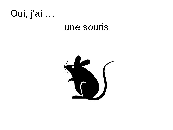 Oui, j’ai … une souris 