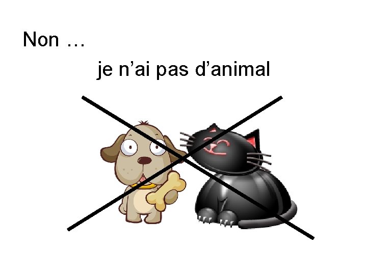 Non … je n’ai pas d’animal 