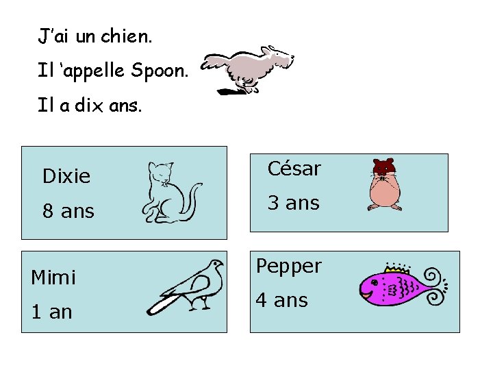 J’ai un chien. Il ‘appelle Spoon. Il a dix ans. Dixie César 8 ans