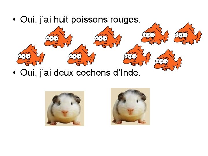  • Oui, j’ai huit poissons rouges. • Oui, j’ai deux cochons d’Inde. 