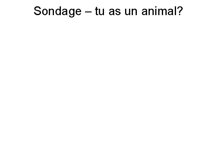 Sondage – tu as un animal? 