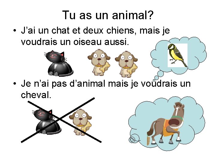 Tu as un animal? • J’ai un chat et deux chiens, mais je voudrais