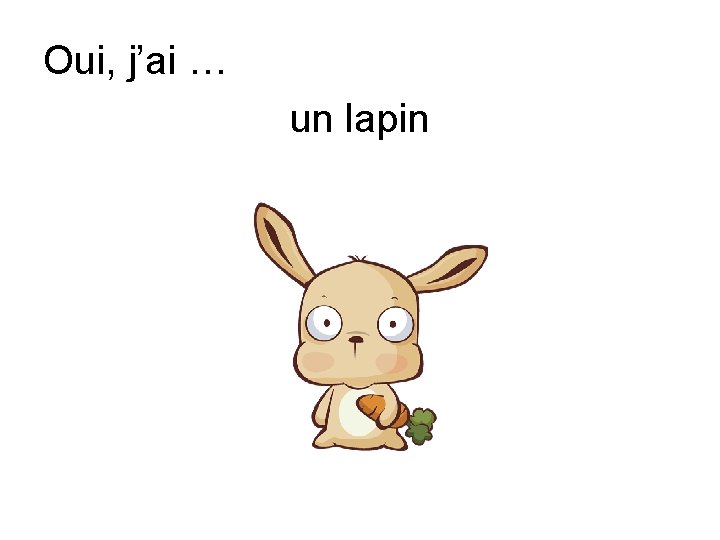 Oui, j’ai … un lapin 