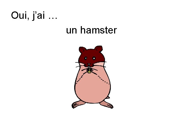 Oui, j’ai … un hamster 