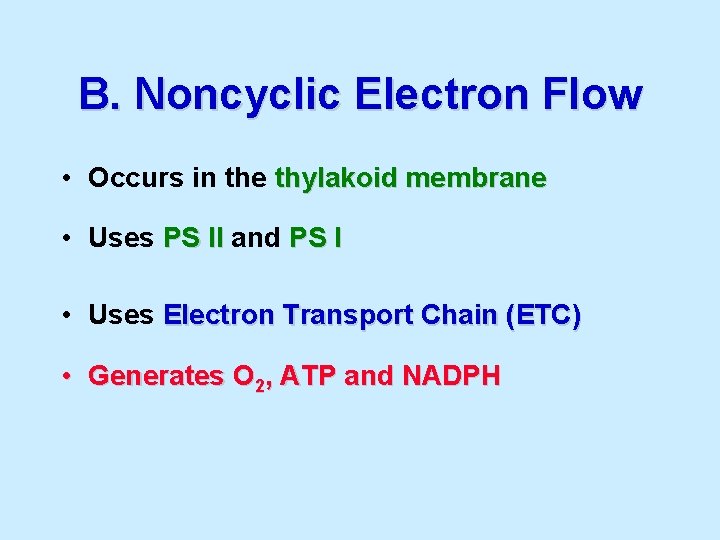 B. Noncyclic Electron Flow • Occurs in the thylakoid membrane • Uses PS II
