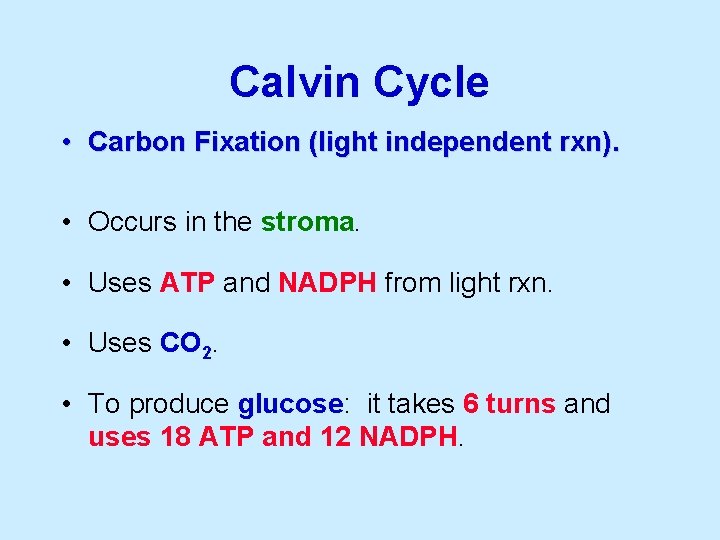 Calvin Cycle • Carbon Fixation (light independent rxn). • Occurs in the stroma. •