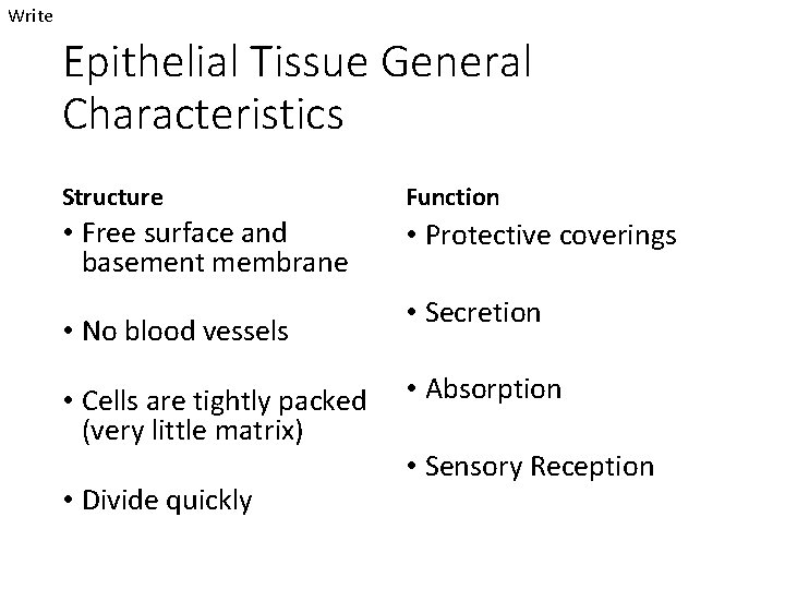 Write Epithelial Tissue General Characteristics Structure Function • Free surface and basement membrane •