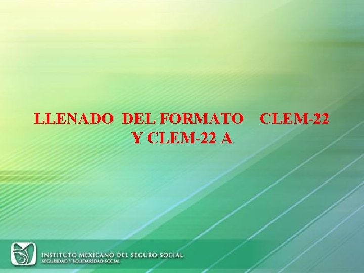 LLENADO DEL FORMATO CLEM-22 Y CLEM-22 A 