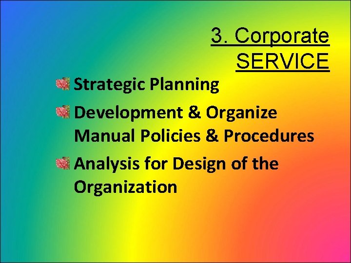 3. Corporate SERVICE Strategic Planning Development & Organize Manual Policies & Procedures Analysis for