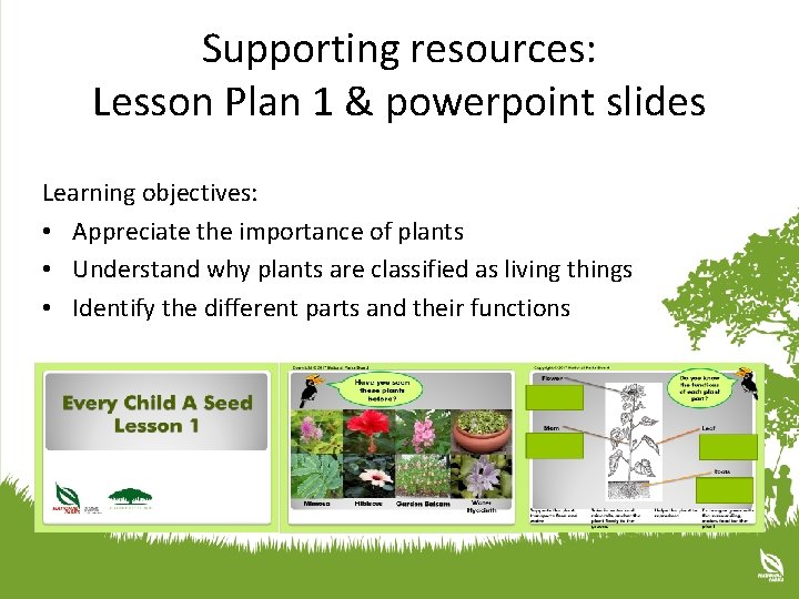 Supporting resources: Lesson Plan 1 & powerpoint slides Learning objectives: • Appreciate the importance