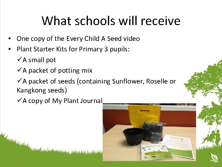 What schools will receive • One copy of the Every Child A Seed video