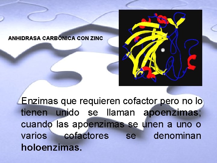 ANHIDRASA CARBÓNICA CON ZINC Enzimas que requieren cofactor pero no lo tienen unido se