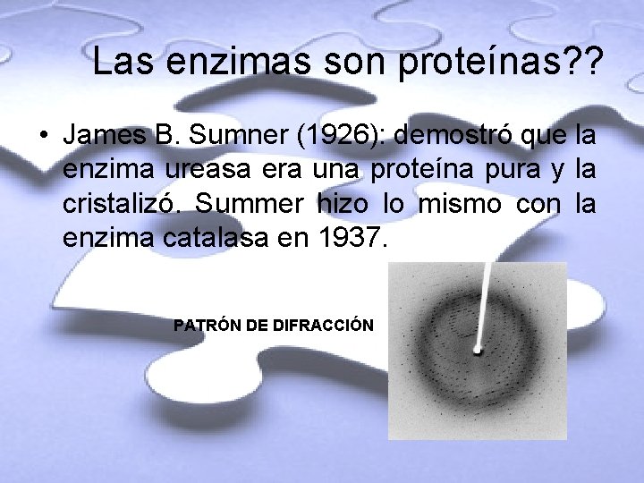 Las enzimas son proteínas? ? • James B. Sumner (1926): demostró que la enzima