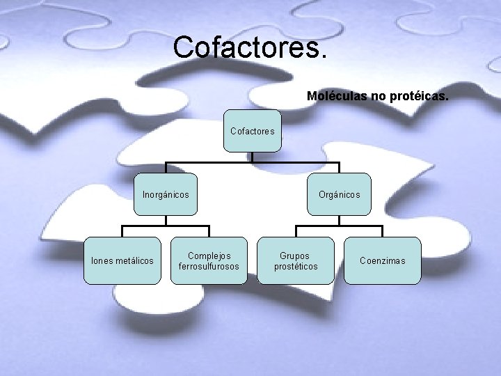 Cofactores. Moléculas no protéicas. Cofactores Inorgánicos Iones metálicos Complejos ferrosulfurosos Orgánicos Grupos prostéticos Coenzimas