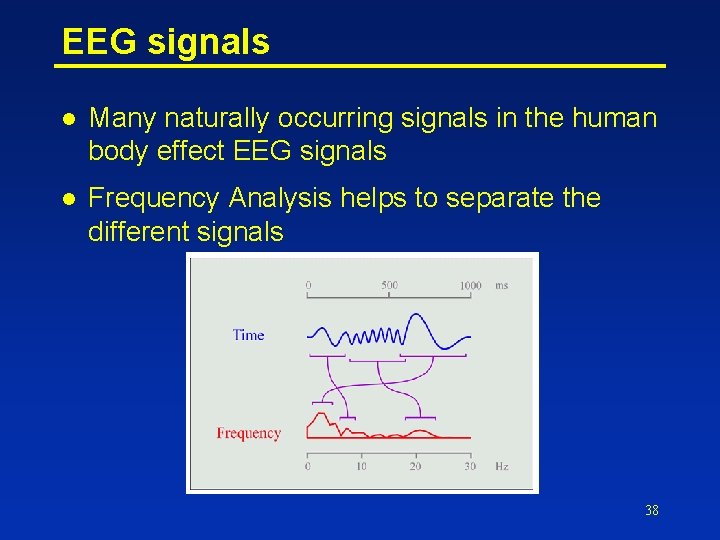 EEG signals l Many naturally occurring signals in the human body effect EEG signals