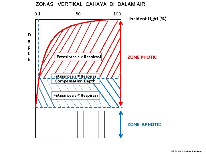 ZONASI VERTIKAL CAHAYA DI DALAM AIR 01 D e p t h 50 Fotosintesis ZONASI VERTIKAL CAHAYA DI DALAM AIR 01 D e p t h 50 Fotosintesis