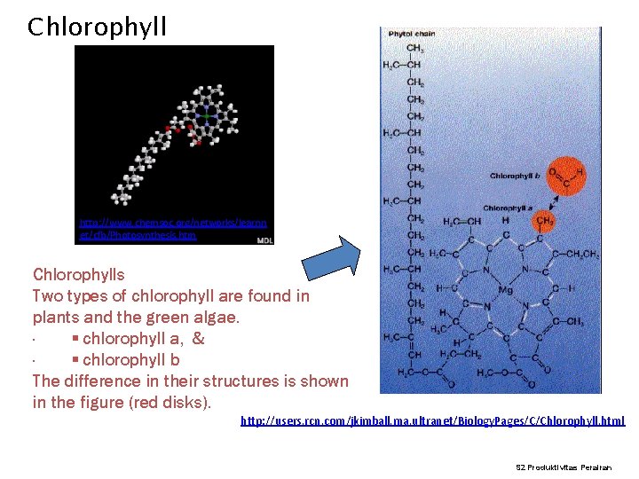 Chlorophyll http: //www. chemsoc. org/networks/learnn et/cfb/Photosynthesis. htm Chlorophylls Two types of chlorophyll are found Chlorophyll http: //www. chemsoc. org/networks/learnn et/cfb/Photosynthesis. htm Chlorophylls Two types of chlorophyll are found