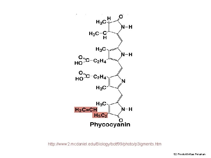http: //www 2. mcdaniel. edu/Biology/botf 99/photo/p 3 igments. htm S 2 Produktivitas Perairan http: //www 2. mcdaniel. edu/Biology/botf 99/photo/p 3 igments. htm S 2 Produktivitas Perairan