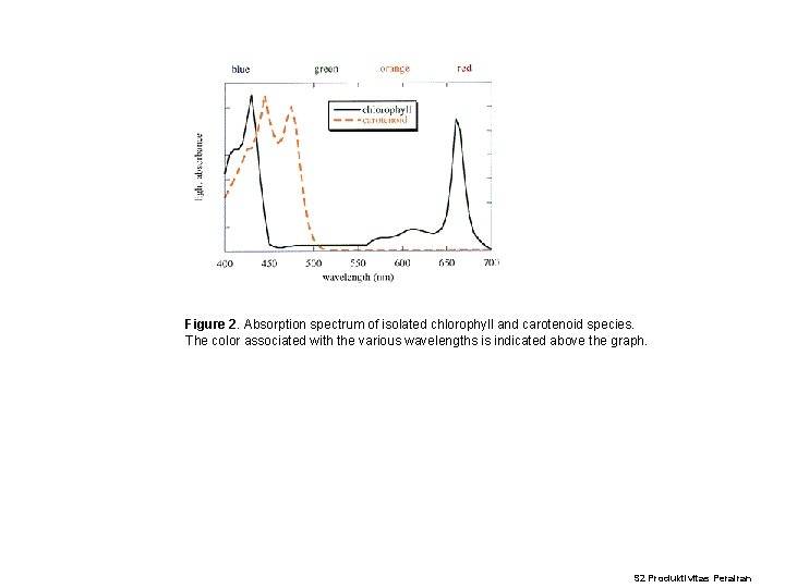 Figure 2. Absorption spectrum of isolated chlorophyll and carotenoid species. The color associated with