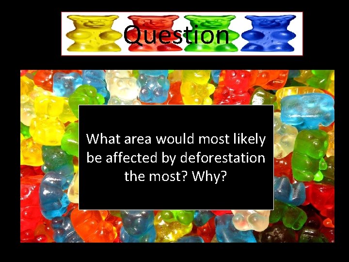 Question What area would most likely be affected by deforestation the most? Why? 