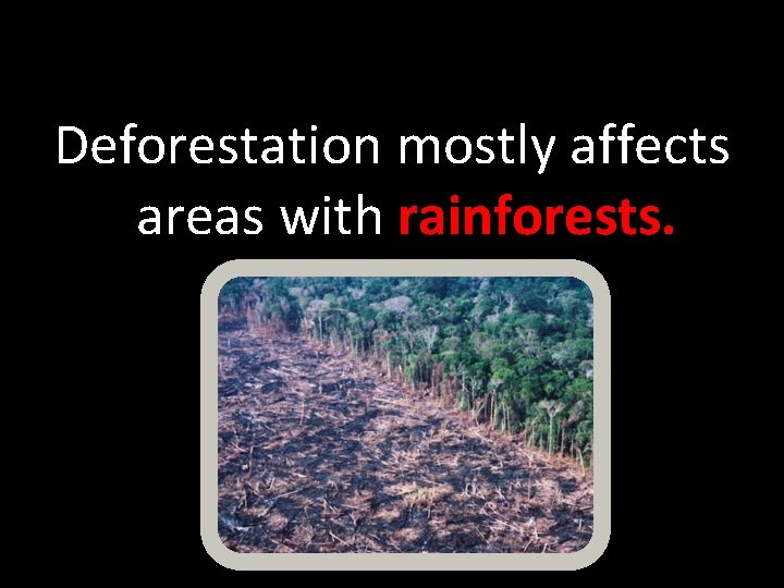 Deforestation mostly affects areas with rainforests. Deforestation mostly affects areas with rainforests.