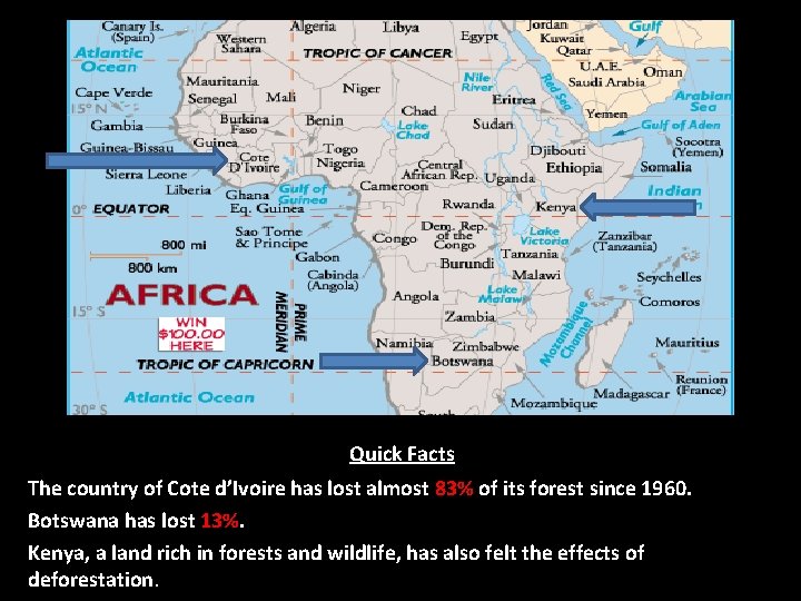 Quick Facts The country of Cote d’Ivoire has lost almost 83% of its forest