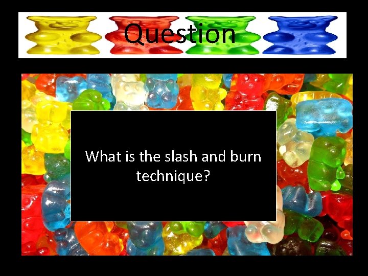 Question What is the slash and burn technique? 