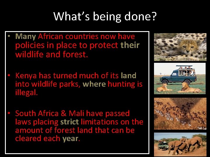 What’s being done? • Many African countries now have policies in place to protect