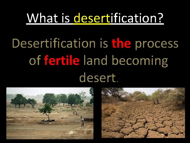What is desertification? Desertification is the process of fertile land becoming desert. 