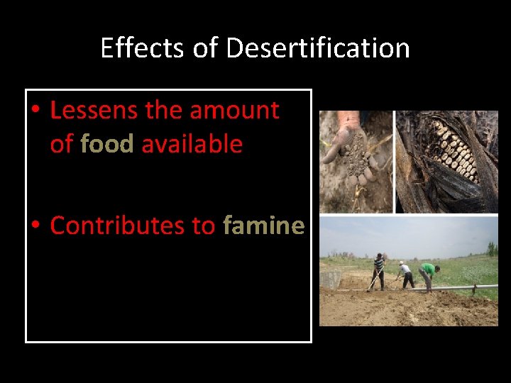 Effects of Desertification • Lessens the amount of food available • Contributes to famine