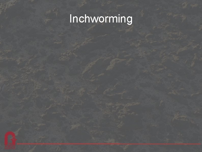 Inchworming 