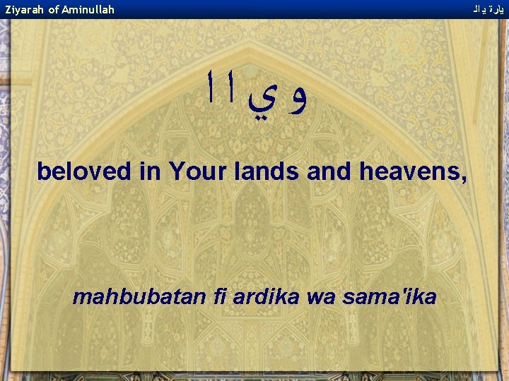 Ziyarah of Aminullah ﻳﺎﺭﺓ ﻳ ﺍﻟ ﻭﻱﺍﺍ beloved in Your lands and heavens, mahbubatan