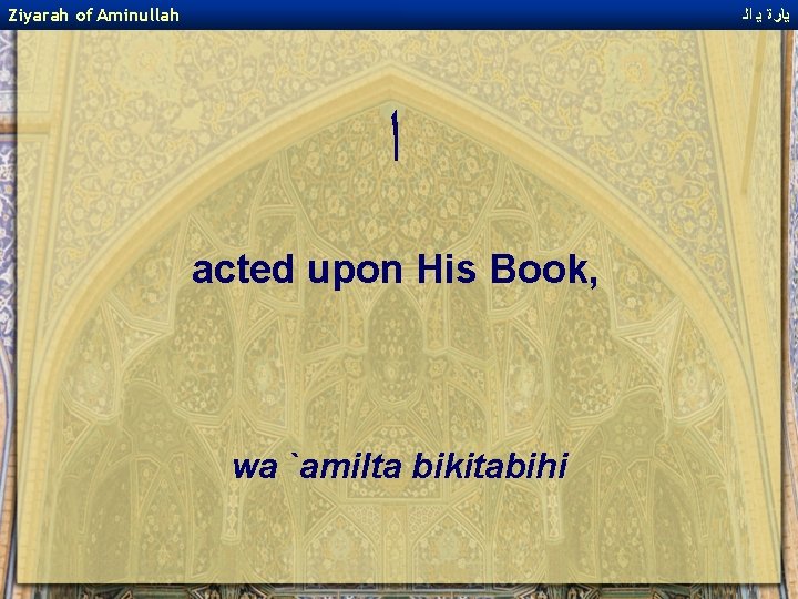 Ziyarah of Aminullah ﻳﺎﺭﺓ ﻳ ﺍﻟ ﺍ acted upon His Book, wa `amilta bikitabihi