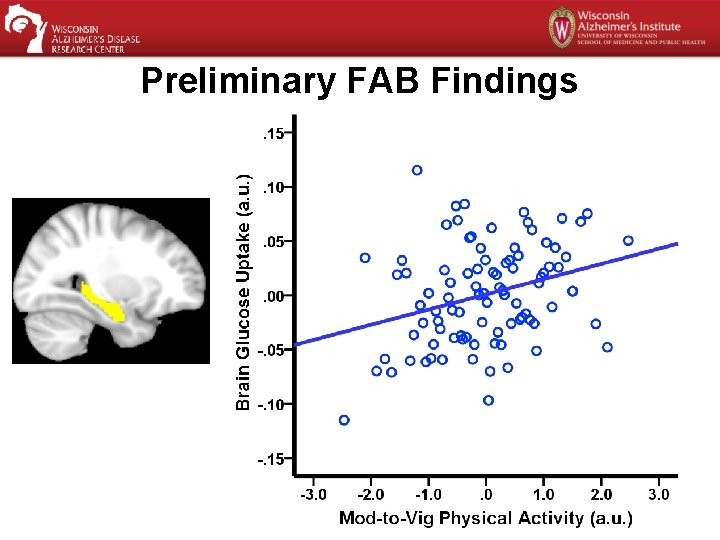 Preliminary FAB Findings 