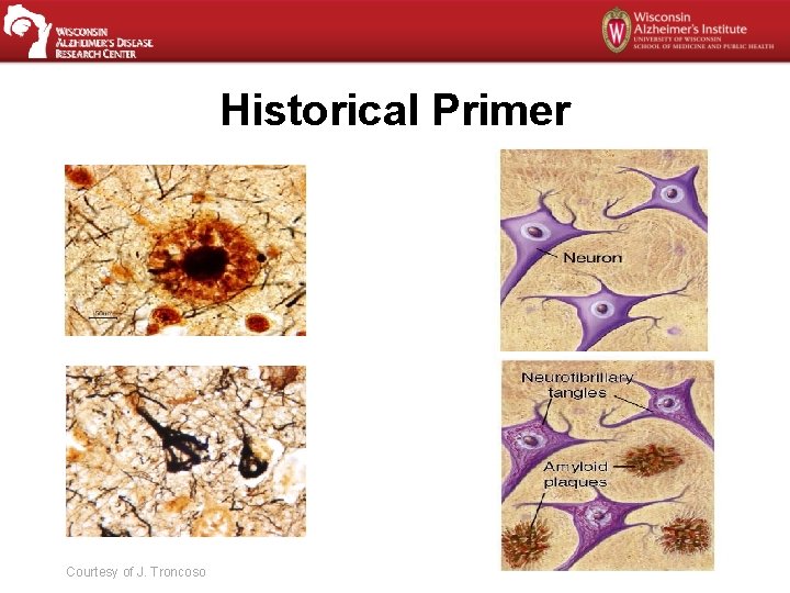 Historical Primer Courtesy of J. Troncoso 