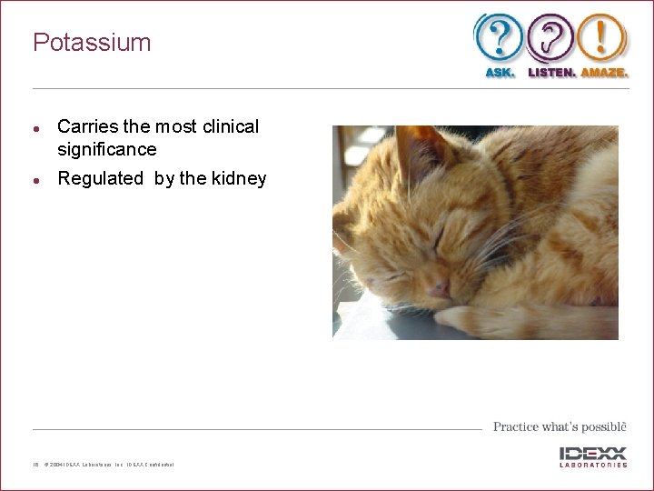 Potassium l l 16 Carries the most clinical significance Regulated by the kidney ©