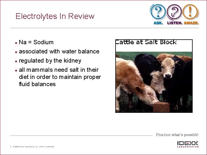 Electrolytes In Review l Na = Sodium l associated with water balance l regulated