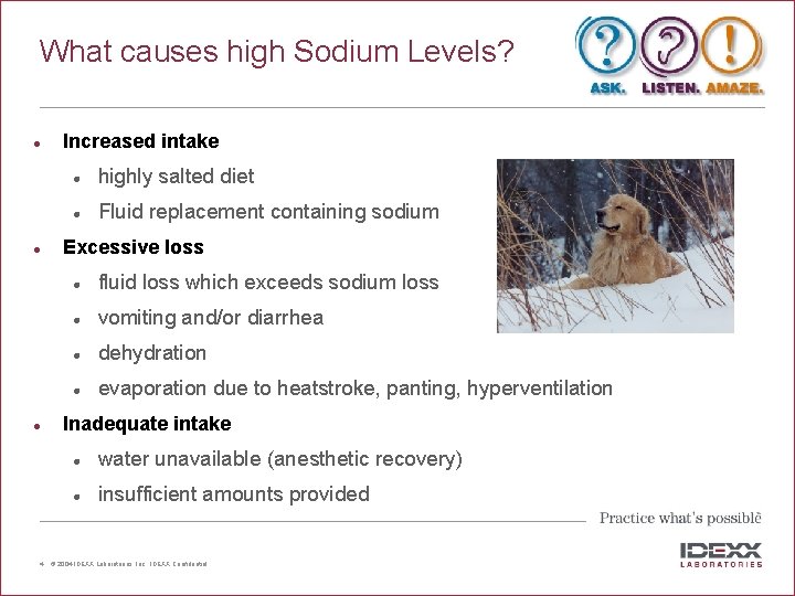 What causes high Sodium Levels? l l l 4 Increased intake l highly salted