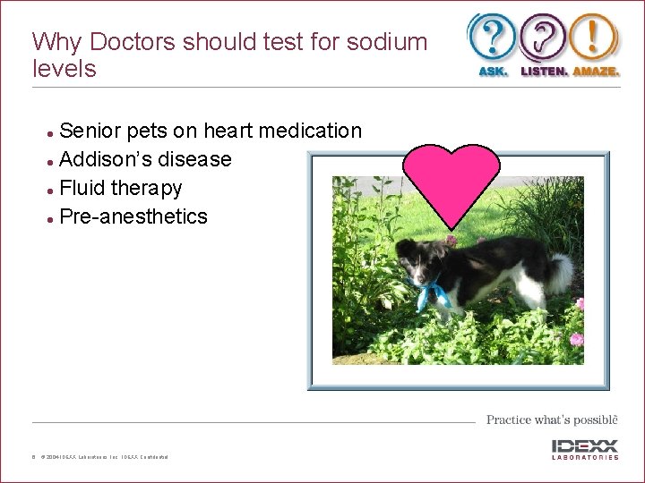 Why Doctors should test for sodium levels Senior pets on heart medication l Addison’s