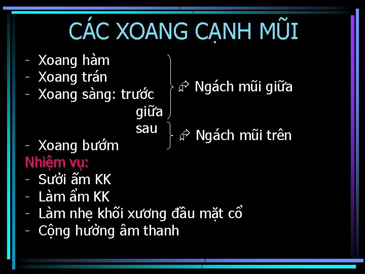 CÁC XOANG CẠNH MŨI - Xoang hàm - Xoang trán Ngách mũi giữa -