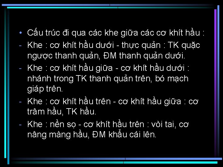  • Cấu trúc đi qua các khe giữa các cơ khít hầu :