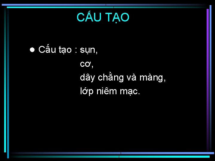 CẤU TẠO ● Cấu tạo : sụn, cơ, dây chằng và màng, lớp niêm