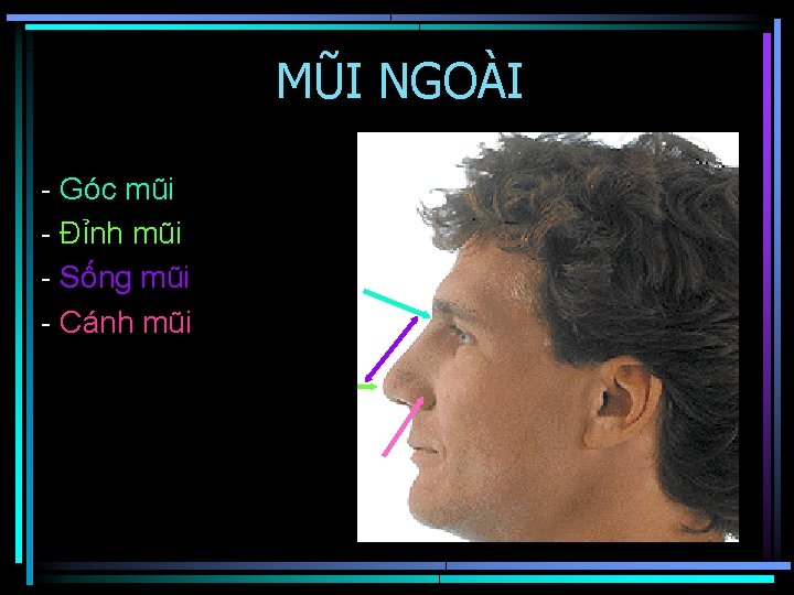 MŨI NGOÀI - Góc mũi - Đỉnh mũi - Sống mũi - Cánh mũi