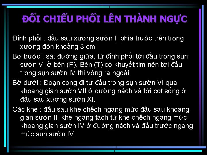 ĐỐI CHIẾU PHỔI LÊN THÀNH NGỰC Đỉnh phổi : đầu sau xương sườn I,