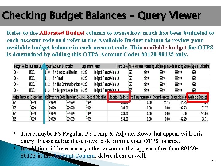 Checking Budget Balances – Query Viewer Refer to the Allocated Budget column to assess