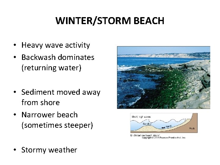 WINTER/STORM BEACH • Heavy wave activity • Backwash dominates (returning water) • Sediment moved