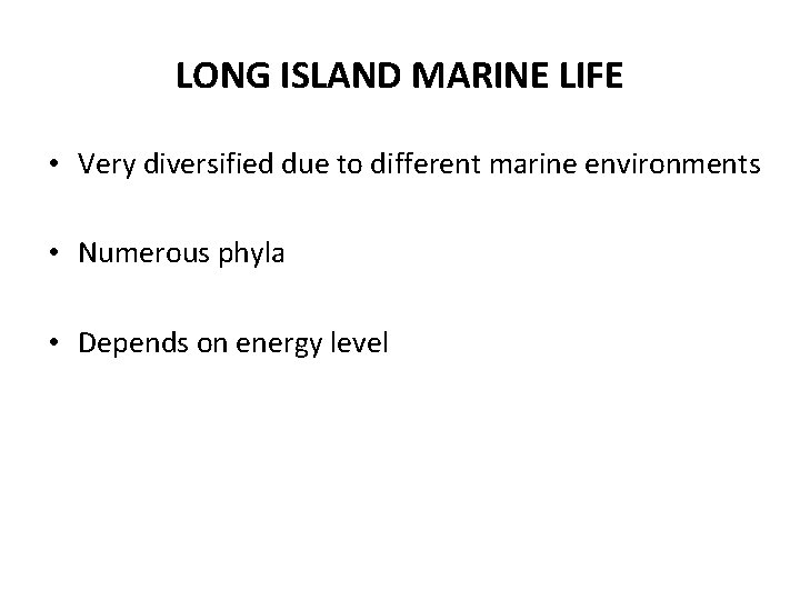 LONG ISLAND MARINE LIFE • Very diversified due to different marine environments • Numerous