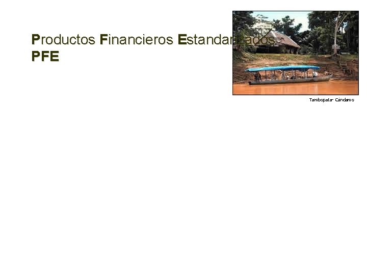 Productos Financieros Estandarizados PFE Tambopata- Cándamo 