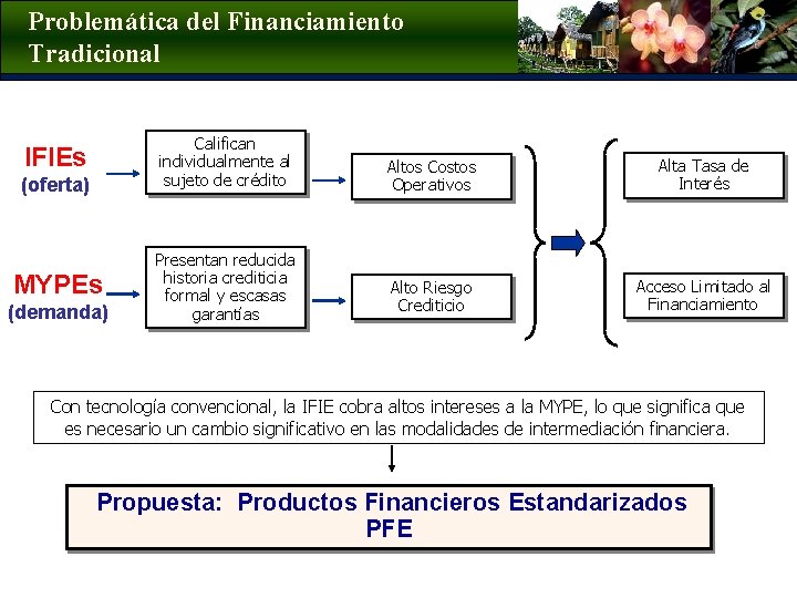 Problemática del Financiamiento Tradicional Califican individualmente al sujeto de crédito IFIEs (oferta) MYPEs (demanda)